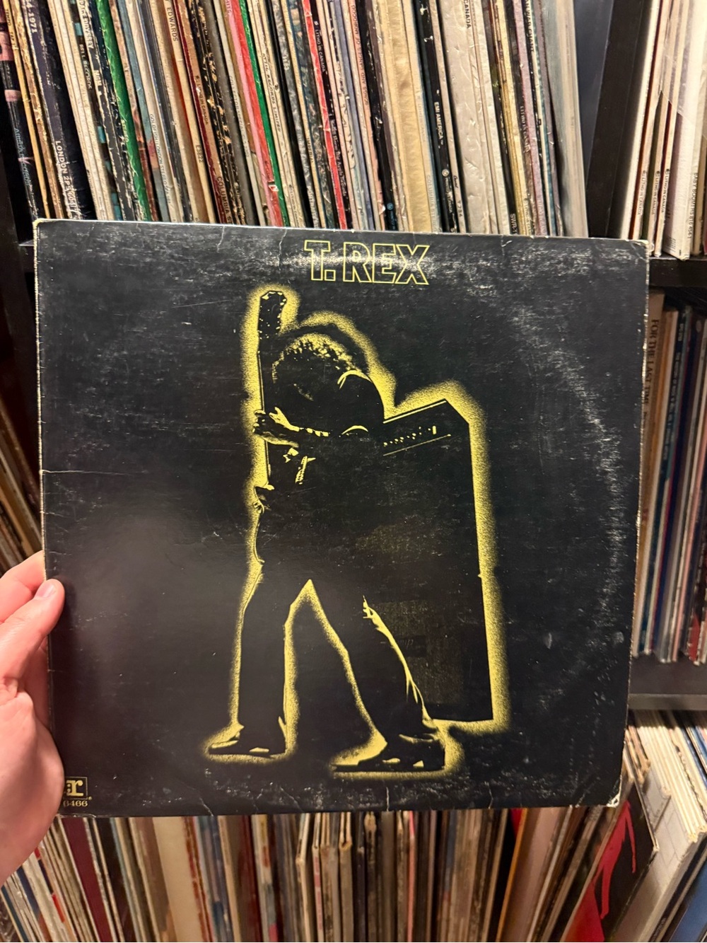 T. Rex Vintage Vinyl Electric Warrior